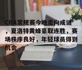 CBA常规赛今晚走向成谜，夏洛特黄蜂豪取连胜，赛场秩序良好，年轻球员得到机会的简单介绍-雷火电竞网站
